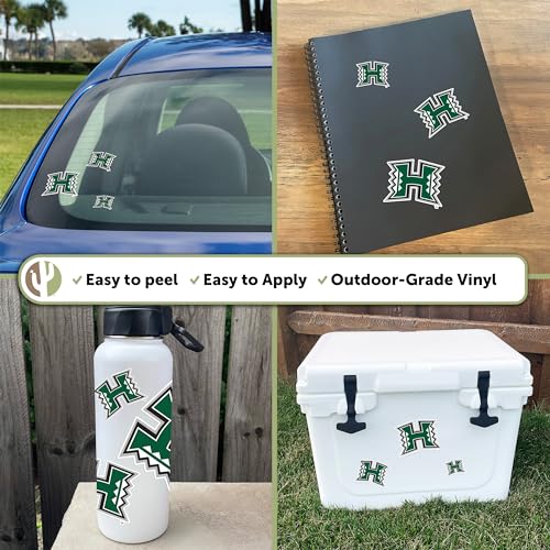 Desert Cactus Hawaii Rainbow Warriors Sticker Decal Sheet