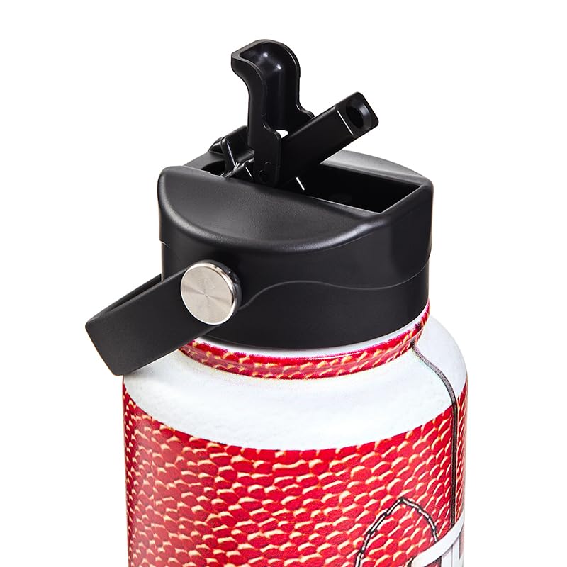 32 oz Insulated Stainless Steel Water Bottle with Leak-Proof Lid & Straw, Double Wall