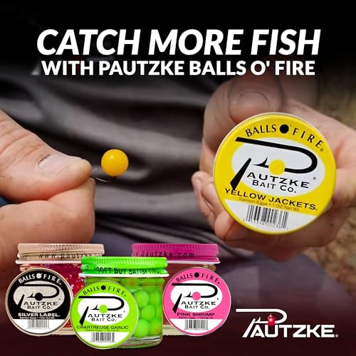 Fishing Bait Set of 5 Salmon Egg Baits - Natural Fish Eggs for Trout & Salmon