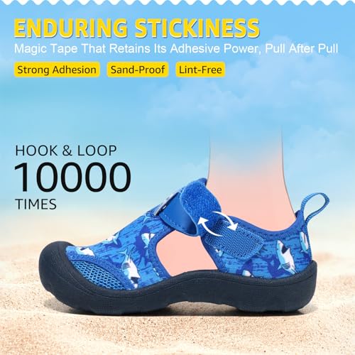 Kids Water Shoes Toddler Little Kids Quick-Dry Sandals with Toe Cap - Royal Blue Shark
