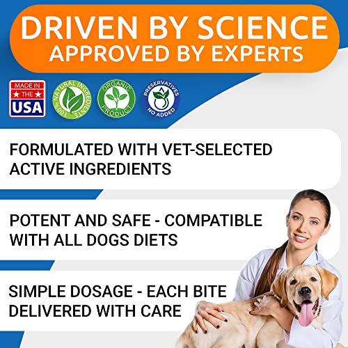 Dog Allergy Relief Chews - Advanced Formula Bacon, 120 Soft Treats