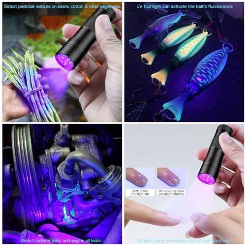 BEIKE UV Blacklight Flashlights, 12 LED 395nm Ultraviolet Blacklight (2 PCS) ? Mini Portable UV Detector for Dog Urine, Pet Urine Detector Light for Stains, Bed Bugs, Resin Curing£¬Scorpions Finder