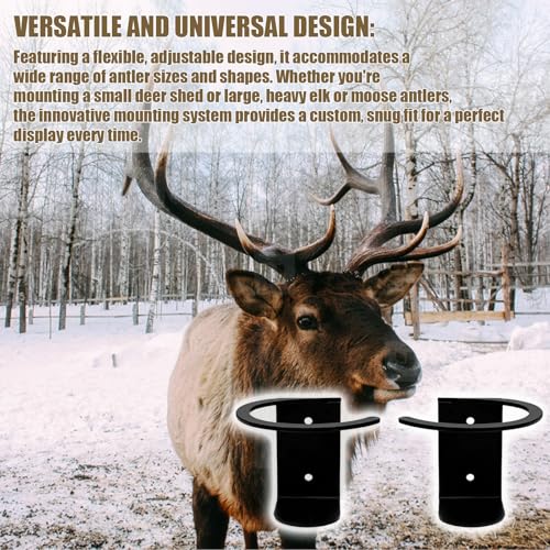 Black Deer Antler Wall Mounting Kit 2 Pack for Elk Moose Trophy Display