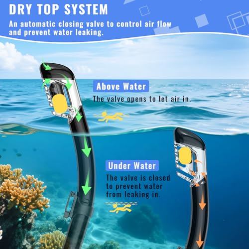 Black Adult Snorkeling Set with Mask & Dry-Top Snorkel - Panorama View