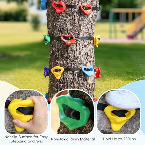 18PCS Tree Climbing Holds Kit with 6 Ratchet Straps for Kids & Adults