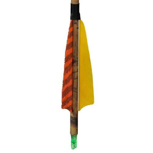 GQT 30” Carbon Arrows Hunting Arrows with 4” Turkey Feather, Removable Tips, Archery Target Practice Arrows Spine 500 for Compound & Recurve & Long Bow(Pack of 12)