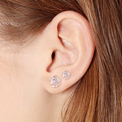 Plastic Post Earrings for Sensitive Ears 2 Pairs Clear Rose Non-Metal Studs