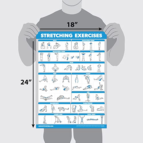 Palace Learning QUICKFIT Stretching Workout Exercise Poster - Stretch Routine (Laminated, 18" x 24")
