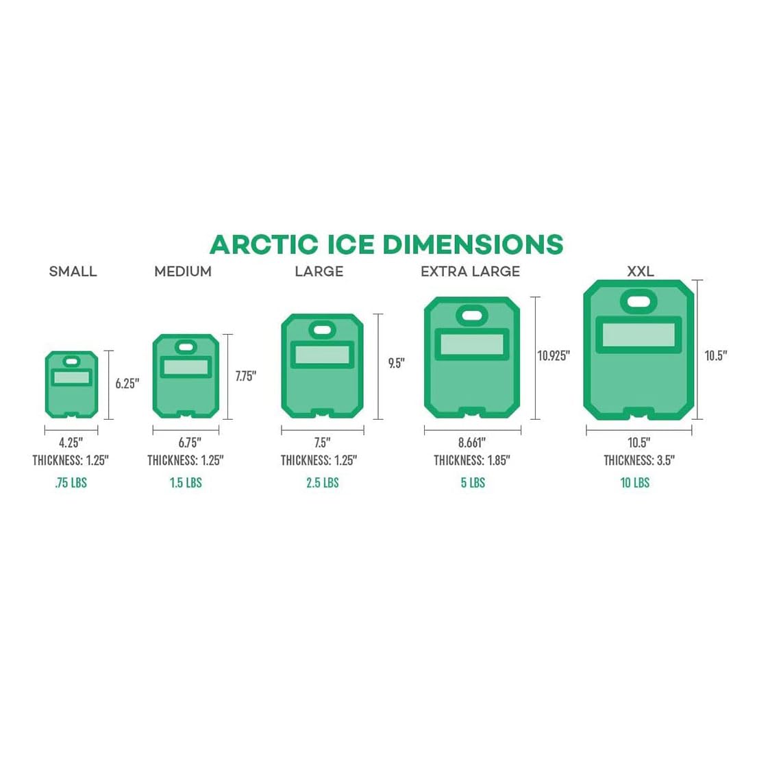 Arctic Ice Alaskan Series Long Lasting Reusable Ice Pack - Freezes at 32° Fahrenheit - Keeps Food & Drinks Cool Without The Risk of Freezing, Medium 1.5 lbs