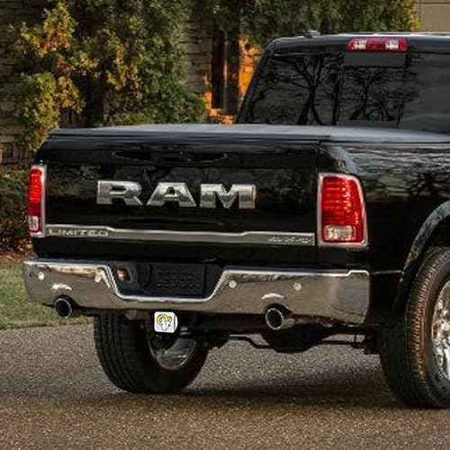 Los Angeles Rams Nation USA American Country 3x5 Flag