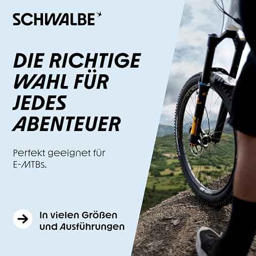 Schwalbe Albert Radial TLR Folding Tyre