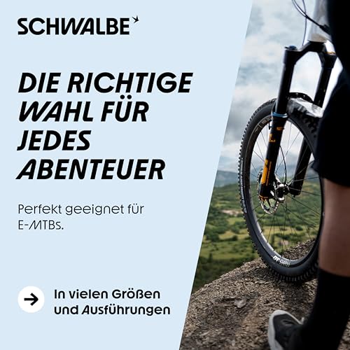 SCHWALBE Albert Tire - 29 x 2.50, Tubeless, Folding, Black, Evolution Line, Gravity Pro, Addix Soft, Radial, E-50