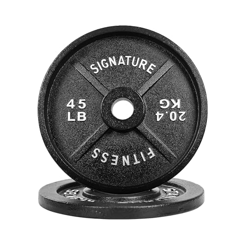 Fitvids Deep Dish 2-Inch Olympic Cast Iron Weight Plates with E-Coating