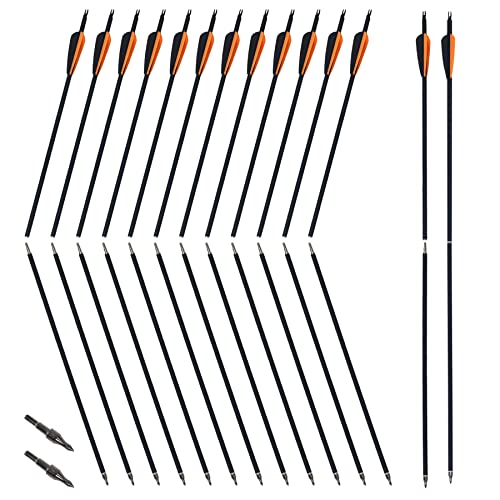 12 Pack Carbon Arrows for Takedown Longbow Recurve & Compound Bow 30 Inch Spine 500
