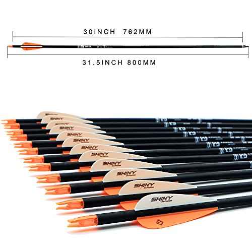 30Inch Carbon Arrow Practice Hunting Arrows with Removable Tips for Compound & Recurve Bow(Pack of 12)