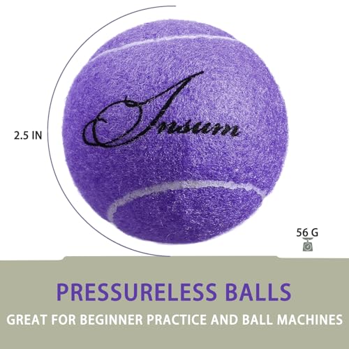 INSUM Purple Tennis Balls Bulk Set with Mesh Bag - Practice & Pet Play