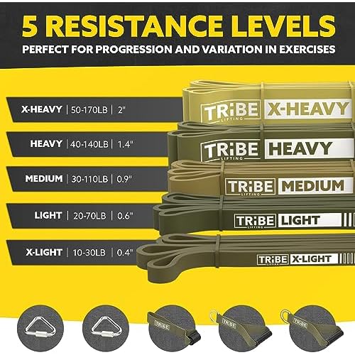 Long Resistance Bands for Working Out Men and Women - Set of 5 Pull-Up Bands, Rubber Handles and Door Anchor - Workout Bands Resistance for Men - Exercise Bands Resistance Bands Set