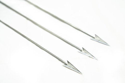 Slock Master Big Bore Blow Gun Fishing Darts, 12 Inch Razor Sharp Darts, 10 per Package, Made for The Fish Hawk Blow Gun