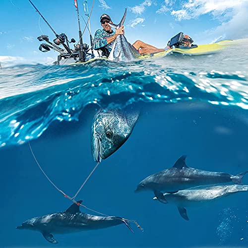 12PCS Stainless Steel Fluorocarbon Fishing Leaders 70lb, 17.7 Inch, Saltwater & Freshwater
