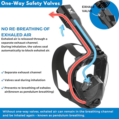 Full Face Snorkel Mask for Adults - CO2 Safe, Anti-Fog, 180° View, L/XL Black Meshbag
