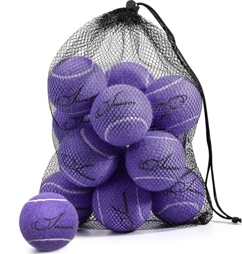 INSUM Purple Tennis Balls Bulk Set with Mesh Bag - Practice & Pet Play