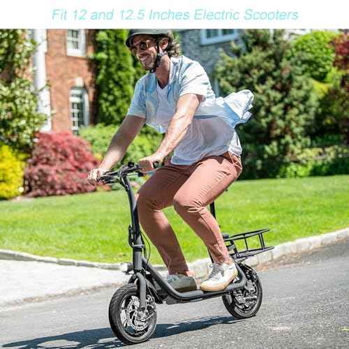 Loxan 2 Pack 12.5x2.25 Bike Inner Tubes Compatible with 12 and 12.5 inches Electric Scooters, 12 1/2 x 2 1/4 inch Replacement Bicycle Tubes with Angled Valve Stem for Electric Bike, E-Bike