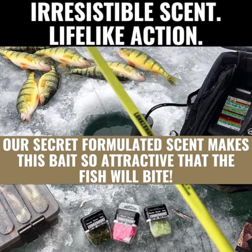 Fishing Jar with Scented May Bugs Soft Plastic Lure - 1.5 Inch Durable Bait