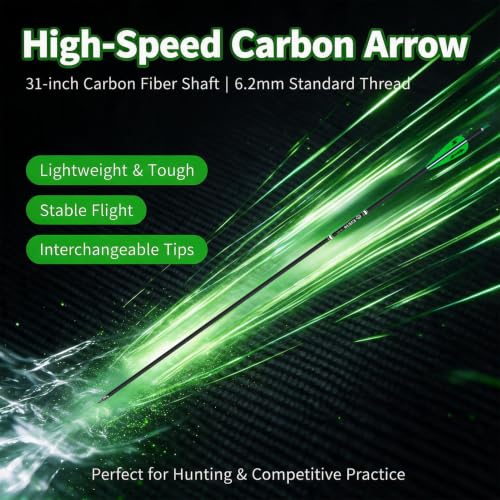 31 Inch Carbon Arrow Set for Target Practice Hunting Arrows with Removable Tips - 24 PC, 4 Colors