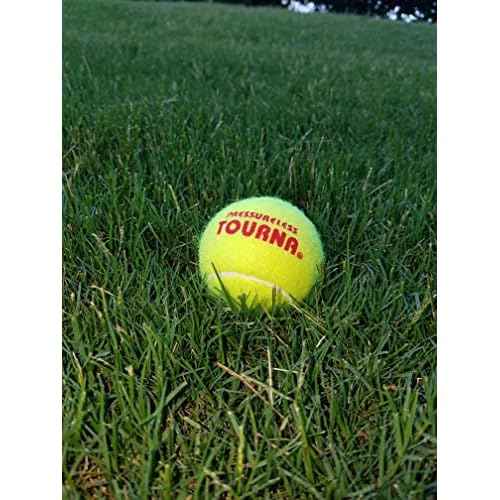 Tourna Pressureless Tennis Ball 60 Count (Pack of 1),Yellow