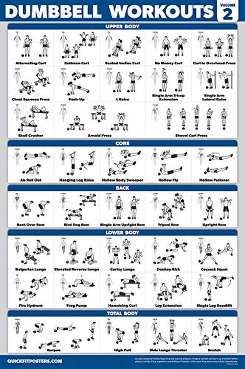 Palace Learning 4 Pack - Dumbbell Workout Posters Volume 1, 2 & 3 + Resistance Bands Exercise Chart - Set of 4 Posters (LAMINATED, 18" x 24")
