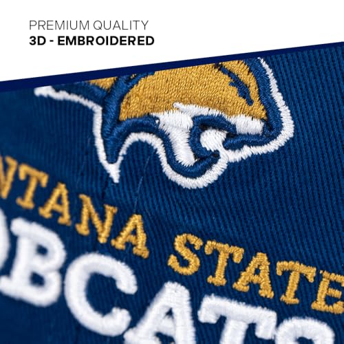 Montana State University Embroidered Baseball Hat - Desert Cactus