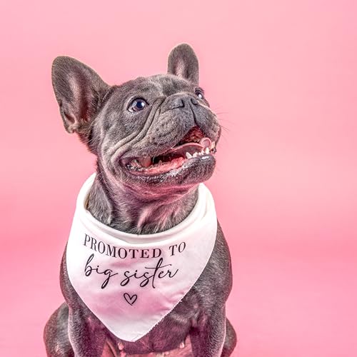 Promoted to Big Sister Dog Bandana Natural One Size Adjustable Cotton Pregnancy Announcement