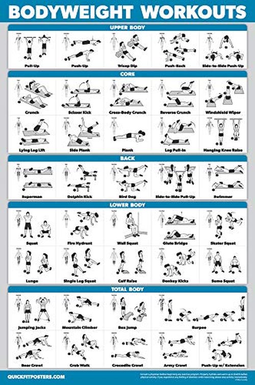 Palace Learning 4 Pack - Suspension Workout Posters Volume 1, 2 & 3 + Bodyweight Exercise Chart - Set of 4 Posters (LAMINATED, 18" x 24")