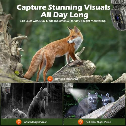 4G LTE Cellular Trail Camera with 2.5K Live Streaming & SIM Card - TC32-1 Pack