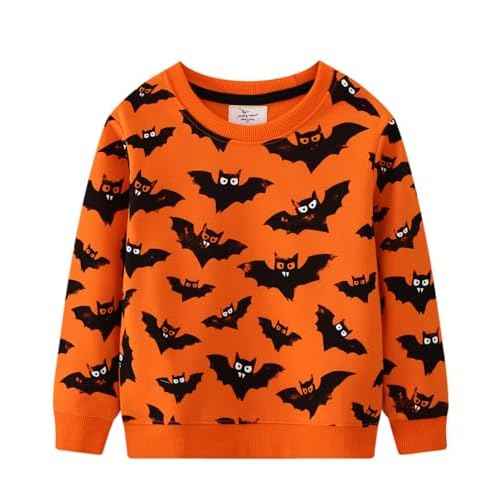 LOKTARC 2 Pack Toddler Boys Sweatshirts Patterned Long Sleeve Pullover Crewneck Tops Shirts