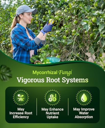 FoxFarm Happy Frog Citrus and Avocado Fertilizer 4 lb - OMRI Listed Slow-Release Tree Food
