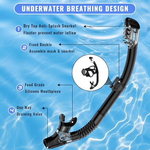 Black Adult Snorkeling Set with Mask & Dry-Top Snorkel - Panorama View