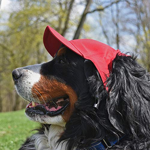 Pet Baseball Hat NCAA Ohio State Buckeyes Large - Adjustable Team Cap for Dogs