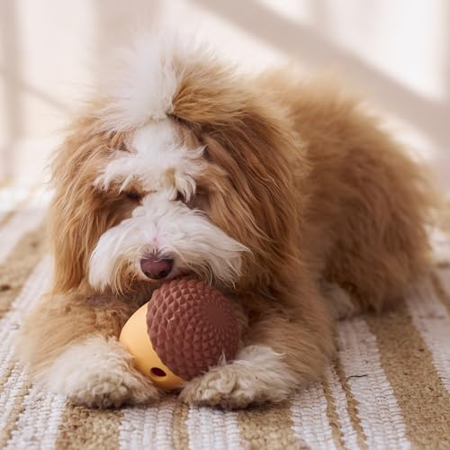 SPOT Treat Tumbler Acorn – Freezable & Fillable Treat Dispensing Dog Toy for Small & Medium Dogs, Silicone, Easy to Clean, Interactive, Holds Small Kibble & Soft Snacks, 4.63 in