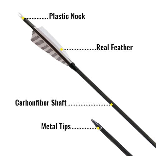 ARCTIRA 31 inch Archery Targeting Feathers Arrows for Recurve Bow Carbon Arrows with Removable Arrowhead for Adult Beginner Target Practice Outdoor Training 6 PCS (White Feathers)
