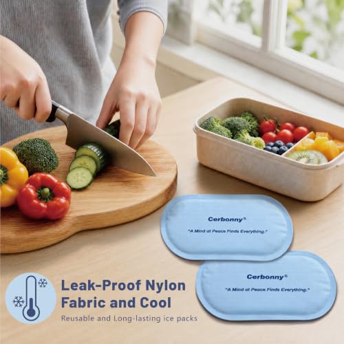 Cerbonny Reusable Slim Ice Packs for Cooler - Assorted Light 4 Pack