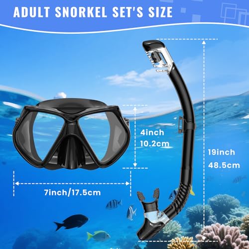 Black Adult Snorkeling Set with Mask & Dry-Top Snorkel - Panorama View