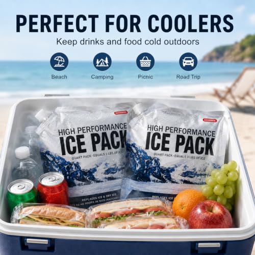 Medium Reusable Ice Packs for Coolers 5 Pack - Gel-Free Freezer Blocks