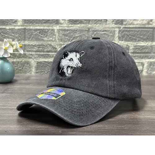 Embroidered Baseball Hats for Men and Women