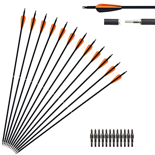 12 Pack Carbon Arrows for Takedown Longbow Recurve & Compound Bow 30 Inch Spine 500