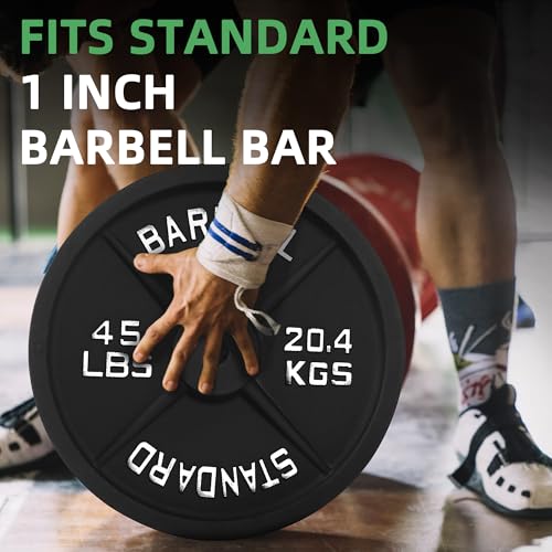Fitvids 1-Inch Standard Cast Iron Weight Plate for Strength Training & Weightlifting, Multiple Sizes