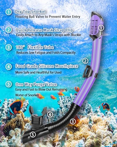 Purple Adult Snorkel Set with Panoramic Mask and Dry Snorkel - Anti-Fog, Anti-Leak