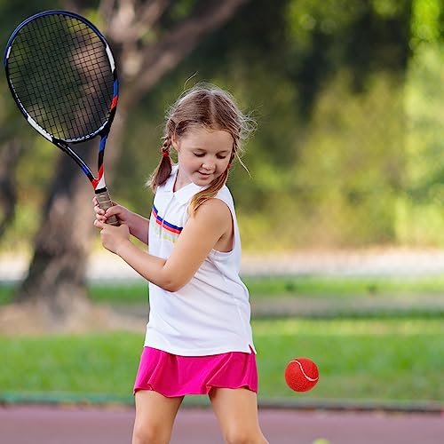 Colored Tennis Balls for Practice and Pet Play – 48 Pack
