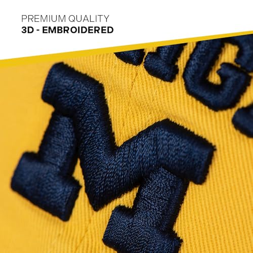 Yellow University of Michigan Embroidered Baseball Hat - Desert Cactus