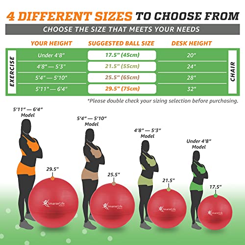 SmarterLife 45cm Red Exercise Ball for Yoga, Pregnancy & Fitness